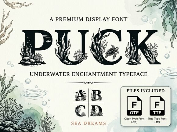 Puck Display Font for Web Design and Branding