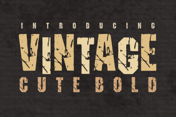 Vintage Cute Bold Font for Display Typography